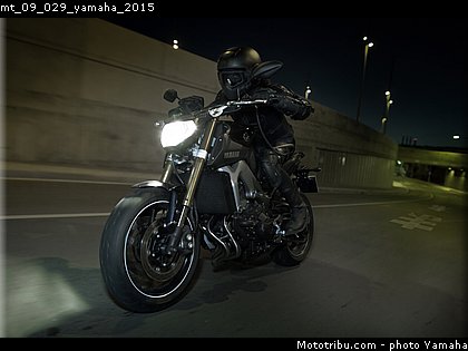mt_09_029_yamaha_2015.jpg