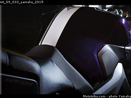 mt_09_033_yamaha_2015.jpg