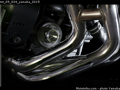 mt_09_034_yamaha_2015.jpg