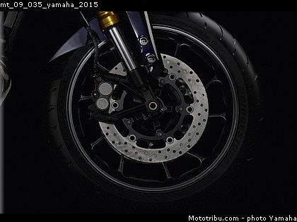 mt_09_035_yamaha_2015.jpg