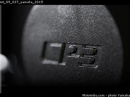 mt_09_037_yamaha_2015.jpg