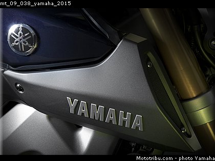 mt_09_038_yamaha_2015.jpg