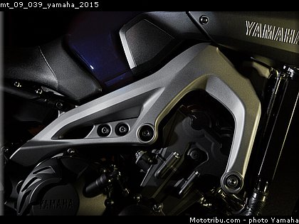 mt_09_039_yamaha_2015.jpg