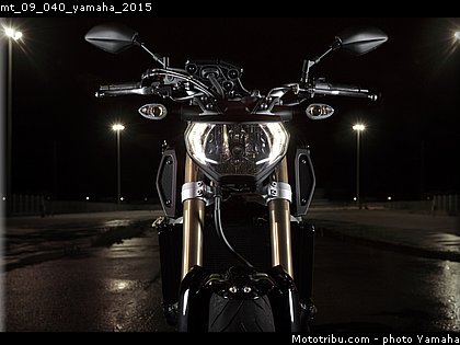 mt_09_040_yamaha_2015.jpg