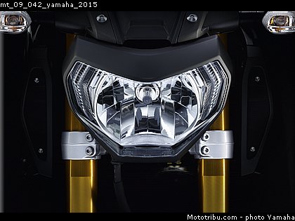 mt_09_042_yamaha_2015.jpg