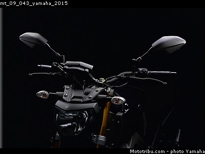 mt_09_043_yamaha_2015.jpg