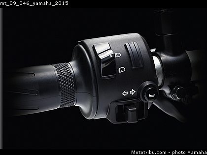 mt_09_046_yamaha_2015.jpg
