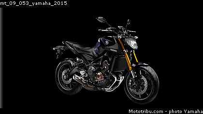 mt_09_053_yamaha_2015.jpg