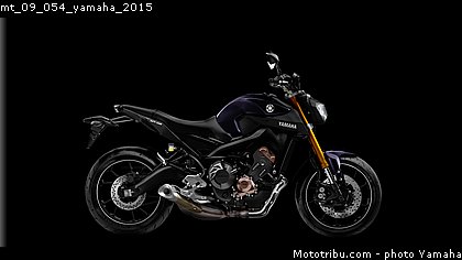 mt_09_054_yamaha_2015.jpg