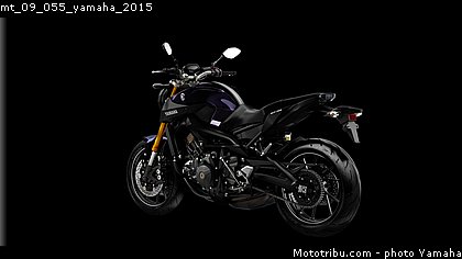 mt_09_055_yamaha_2015.jpg