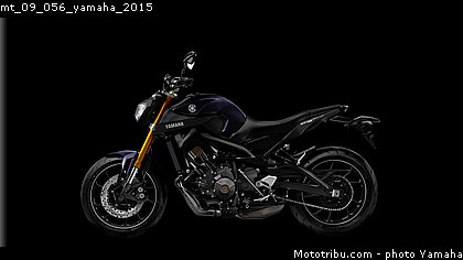 mt_09_056_yamaha_2015.jpg