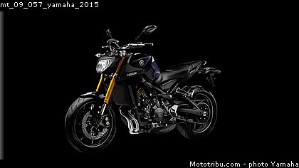 mt_09_057_yamaha_2015.jpg