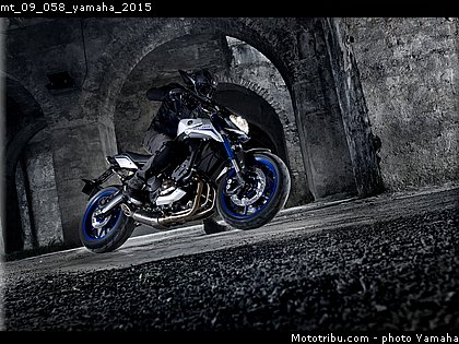 mt_09_058_yamaha_2015.jpg