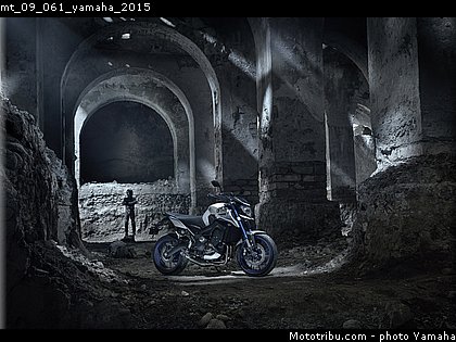 mt_09_061_yamaha_2015.jpg