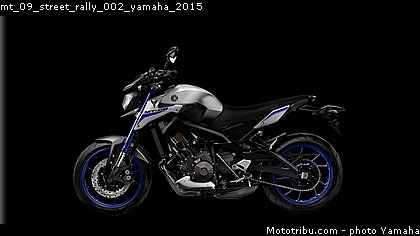 mt_09_street_rally_002_yamaha_2015.jpg