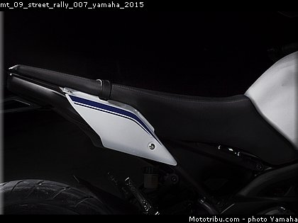 mt_09_street_rally_007_yamaha_2015.jpg