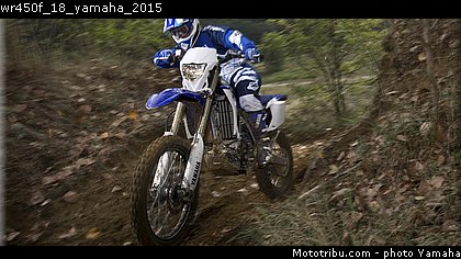 wr450f_18_yamaha_2015.jpg
