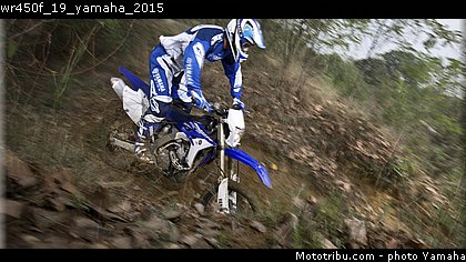 wr450f_19_yamaha_2015.jpg