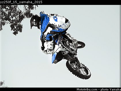 yz250f_15_yamaha_2015.jpg