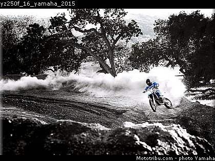 yz250f_16_yamaha_2015.jpg
