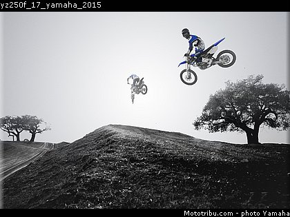 yz250f_17_yamaha_2015.jpg
