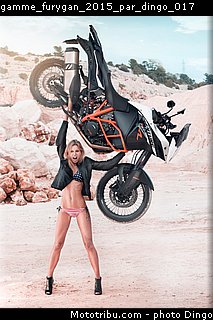 gamme_furygan_2015_par_dingo_017.jpg