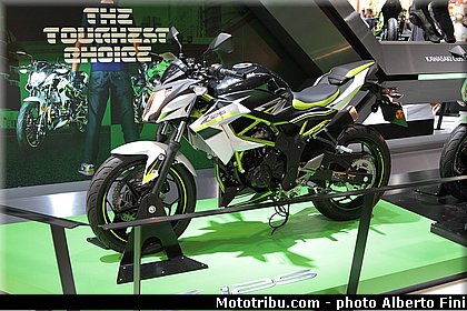 0064 salon milan 2018 par alberto fini.jpg