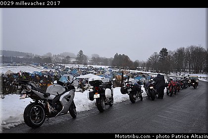 0029 millevaches 2017.JPG