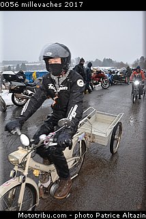 0056 millevaches 2017.JPG