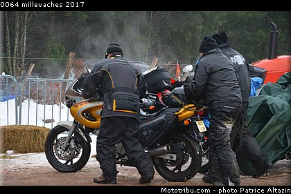 0064 millevaches 2017.JPG