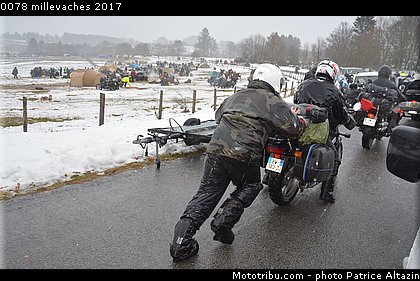 0078 millevaches 2017.JPG