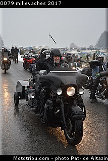 0079 millevaches 2017.JPG