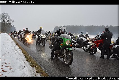 0084 millevaches 2017.JPG