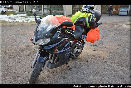 0145 millevaches 2017.JPG