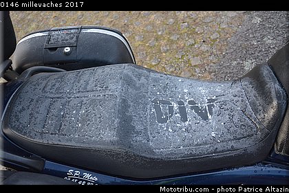 0146 millevaches 2017.JPG