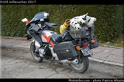 0165 millevaches 2017.JPG