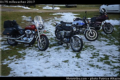 0175 millevaches 2017.JPG