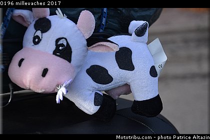 0196 millevaches 2017.JPG