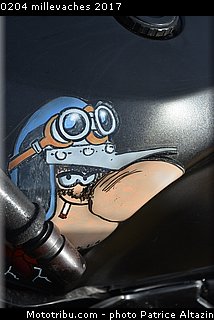 0204 millevaches 2017.JPG