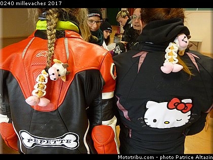0240 millevaches 2017.JPG