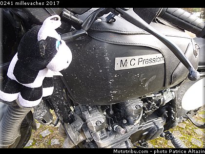 0241 millevaches 2017.JPG