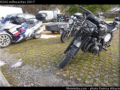 0242 millevaches 2017.JPG