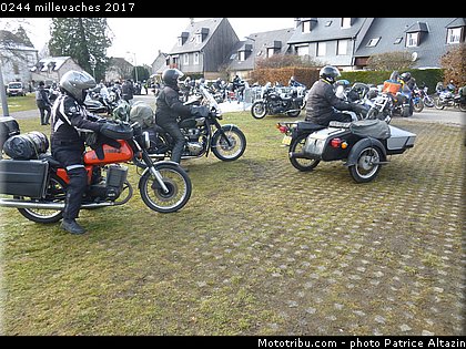 0244 millevaches 2017.JPG