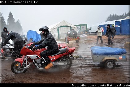 0248 millevaches 2017.jpg