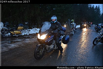 0249 millevaches 2017.JPG