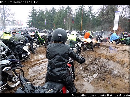 0250 millevaches 2017.JPG