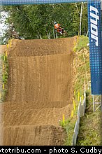 musquin_05_motocross_us_2013_millville.jpg