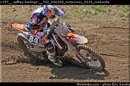 1157__-jeffrey-herlings-__7d2_036202_motocross_2016_lombardie.jpg