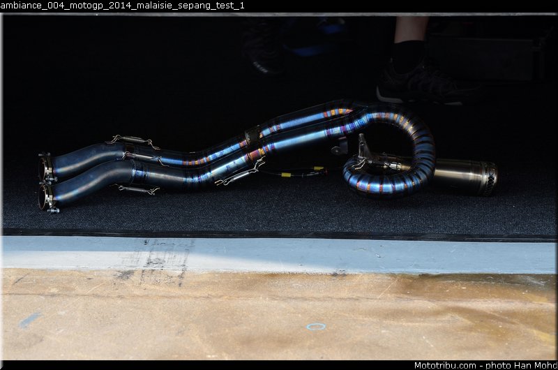 ambiance_004_motogp_2014_malaisie_sepang_test_1