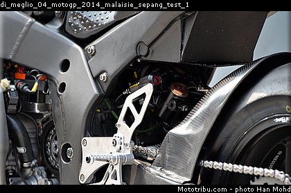 di_meglio_04_motogp_2014_malaisie_sepang_test_1.jpg